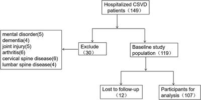 Gait characteristics related to fall risk in patients with cerebral small vessel disease